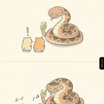 Muzyka łagodzi obyczaje