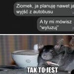 Wyluzuj