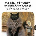 Potężny kot