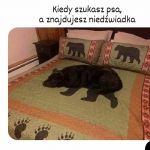 Transformacja