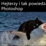 Waleczny kitku