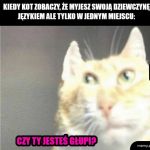 Dzieją się rzeczy, których nie rozumiem