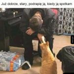 Głowa do góry, człowiek
