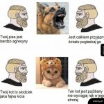 Maskują się całkiem dobrze