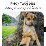 I w og&oacute;le ma więcej wdzięku