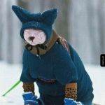 Czemu zn&oacute;w jest tak zimno?