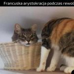 Francuska arystokracja