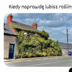 Dom rośliniary (albo rośliniarza)