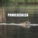 Poniedziałek
