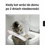 Typowe