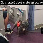 Gdy jesteś zbyt niebezpieczny