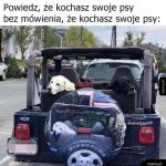 Widać na pierwszy rzut oka