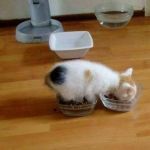 Przezorny zawsze ubezpieczony