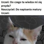 Szkolna wiedza