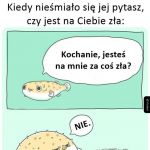 Skąd ten pomysł?
