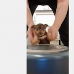 To dlatego je kochamy