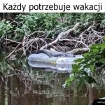 Wakacje