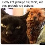 Wymowne spojrzenie