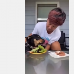 Chciała udowodnić, że pies woli sałatę