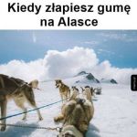 Koniec przejażdżki