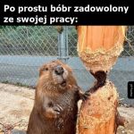 Szczęśliwy b&oacute;br
