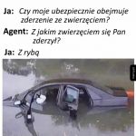Polisa ubezpieczeniowa