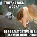 To wszystko przez sałatkę