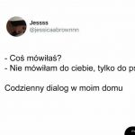 Kiedy w domu jest zwierzak
