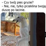 A imię jego Demon
