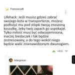 Podróż z kotem