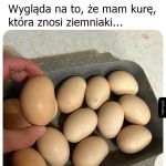Niestandardowe jajka