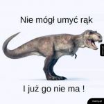 Dlatego wyginęły