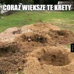 Idzie się przerazić