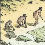 Ewolucja