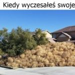 Trochę tego jest