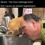 Ojciec i kot