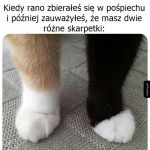 Tak miało być