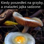 Grzybobranie