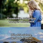 Wskazówki od przodków