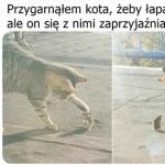 Przyjaźń