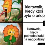 Kierownik