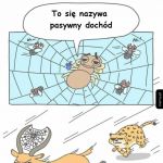 Pasywny dochód