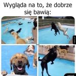 Dobra zabawa