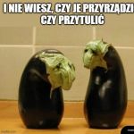 Co te bakłażany?