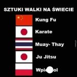 Sztuki walki na świecie