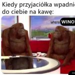 Żadna tam kawa