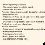 Jak wejść z psem do baru