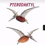 Pteromigdał