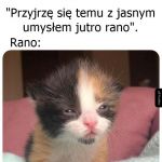 Właśnie tak to się kończy