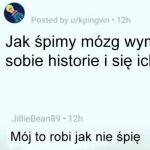 Mój mózg